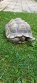 REPTIMANIA_0