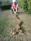 REPTIMANIA_0