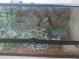 REPTIMANIA_0