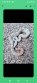 REPTIMANIA_0