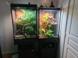REPTIMANIA_0