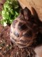 REPTIMANIA_0