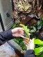 REPTIMANIA_0
