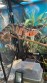 REPTIMANIA_0