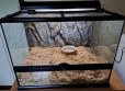REPTIMANIA_0