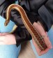 REPTIMANIA_0