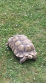 REPTIMANIA_0