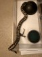 REPTIMANIA_0