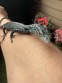 REPTIMANIA_0